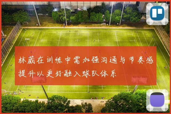 林葳在训练中需加强沟通与节奏感提升以更好融入球队体系