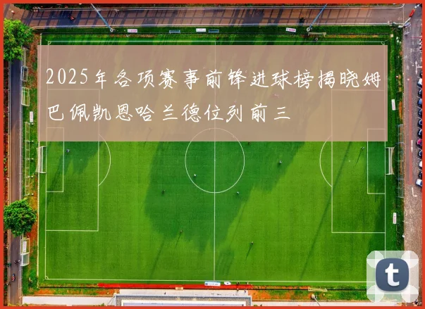 2025年各项赛事前锋进球榜揭晓姆巴佩凯恩哈兰德位列前三
