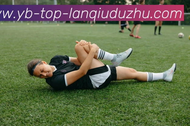 篮球赌注平台生态图